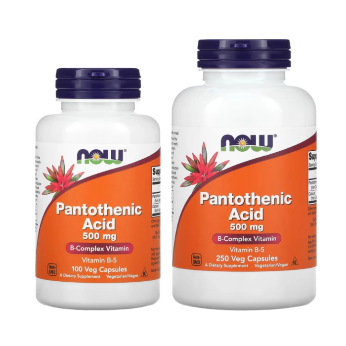 Suplemento de Ácido Pantotênico (Vitamina B5), Energia e Metabolismo, Now
