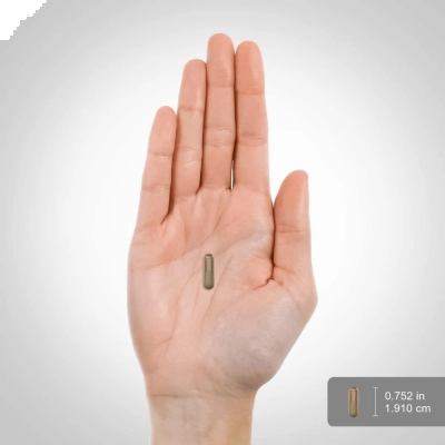 Romã Pomegranate, 500mg, 200 Cápsulas PipingRock 