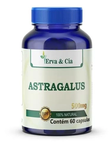 Astragalus, 500mg, Puro 60 Capsulas, Erva & Cia