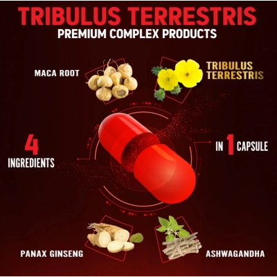 Tribulus Terrestris 350mg com Maca, 4 em 1, 90 Cápsulas, Zolotus 