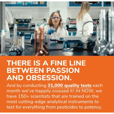 Yucca 500mg, Iúca, 100 Cápsulas, Now