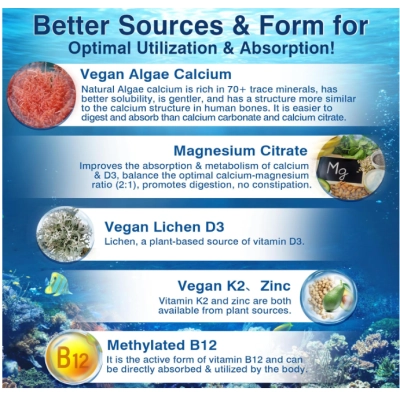 Cálcio Lipossomal 6 em 1 600mg, com Vitaminas D3, K2 MK7 e B12, Lilicare