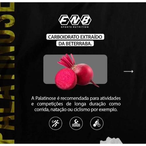 Palatinose, 300g, Sabor Neutro