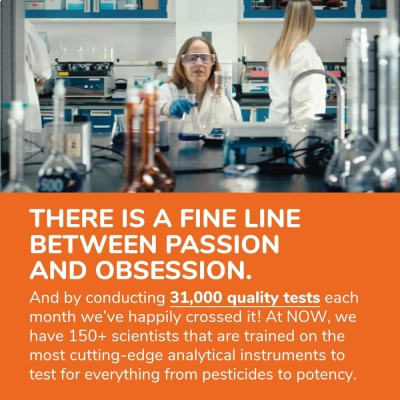 Suplemento de D-Mannose em Pó, Suporte ao Trato Urinário e Equilíbrio do Sistema Urinário, 170g, Now