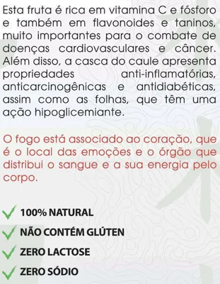 Jambolão Extrato Seco, 60 cápsulas, Folhas e Raízes