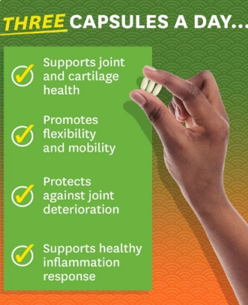 Joint Support, Glucosamina, Condroitina, MSM e Ácido Hialurônico, 180 Comprimidos, Zenwise