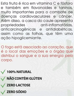 Jambolão Extrato Seco, 60 cápsulas, Folhas e Raízes