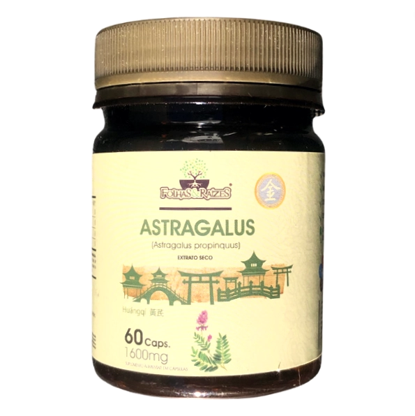 Astragalus, Extrato Seco, 60 Cápsulas, Folhas e Raizes