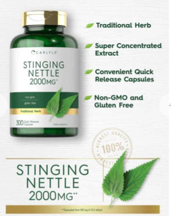 Stinging Nettle Leaf Extract, Folha de Urtiga 2000mg, 300 Cápsulas, Carlyle
