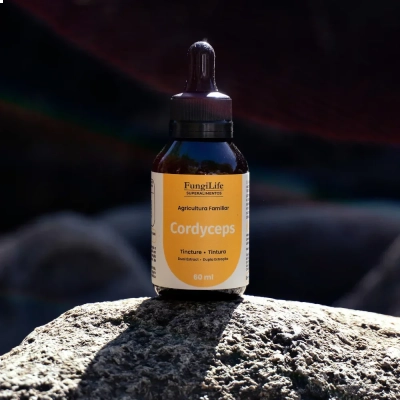 Extrato Líquido Cogumelo Funcionais, Tipos, 60ml, Microdose Life