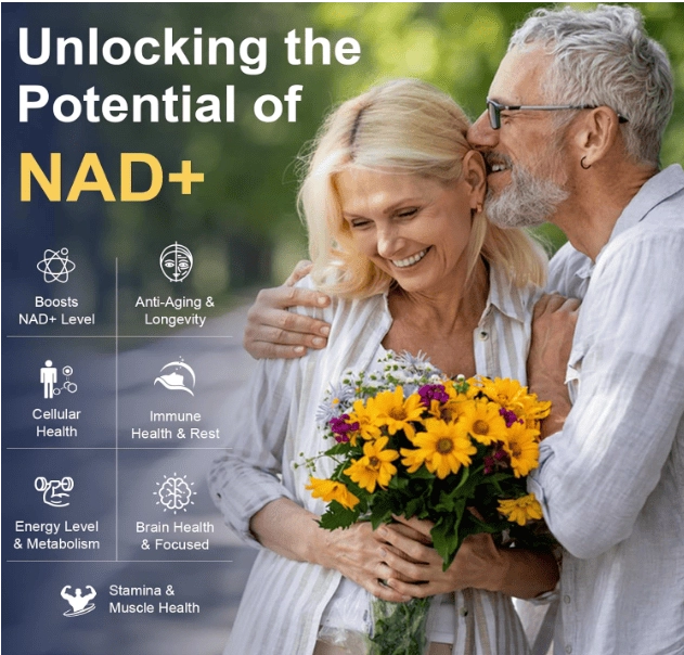 NAD 500mg + Nicotinamida Ribosídeo, Resveratrol, Quercetina e Betaína Boost, 120 Capsulas, Totaria
