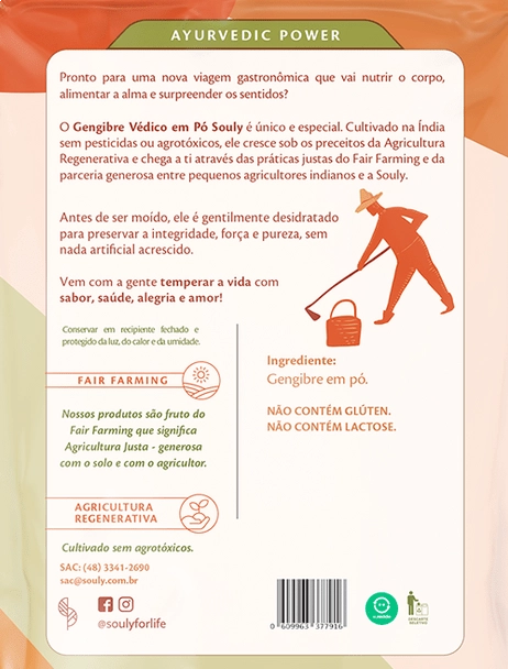 Gengibre Védico em Pó, 60g, Souly