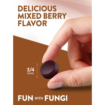 Lion's Mane Mushroom, 60 Gomas - Nature's Truth