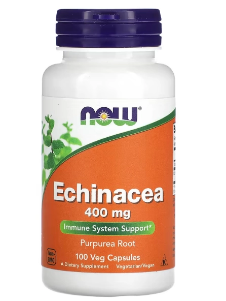 Echinacea 400mg, 100 Cápsulas, Now
