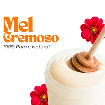 Mel Cremoso, 300g, Apis Nativa