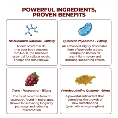 NAD+ 1000mg Liquido, 30 Saches de 10g, Zooone