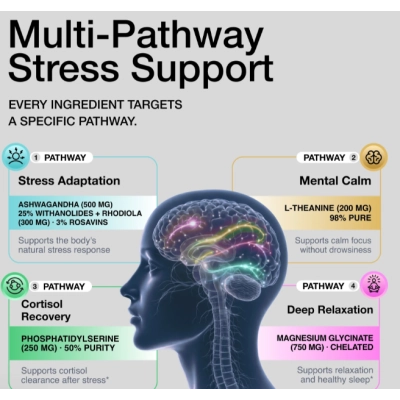 Cortisol Support 2000, Suporte ao Cortisol, 120 Cápsulas, Toniiq