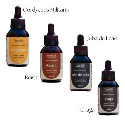 Extrato Líquido Cogumelo Funcionais, Tipos, 60ml, Microdose Life