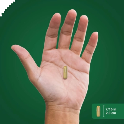 Berberina HCL, 500 mg, 120 Cápsulas, PipingRock