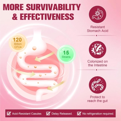 Probióticos Vitalitown 120 bilhões de CFU para mulheres, 120 Cápsulas - Totaria Health