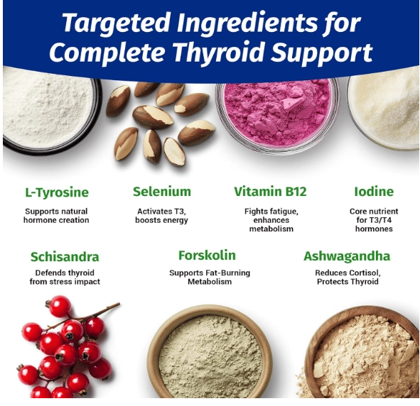 Thyroid Support, Suporte à Tireoide, 60 Cápsulas, 1 Body