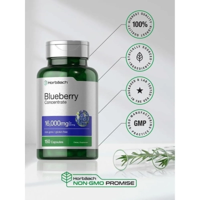 Blueberry Concentrado De Mirtilo 16.000mg, 150 Cápsulas - Horbaach
