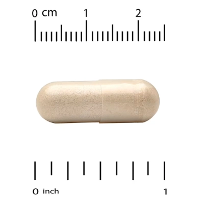 Extrato de Ginkgo Biloba 120mg, EuroHerbs, 60 Cápsulas, California Gold Nutrition