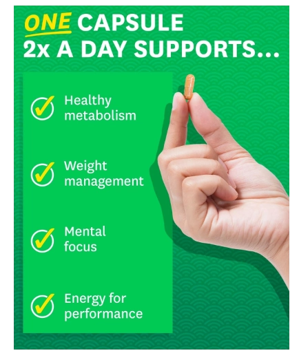 Green Tea Extract,  Chá Verde com Extrato de Grão de Café Verde, 120 Cápsulas, Zenwise
