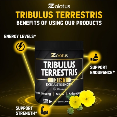 Tribulus 13 em 1, Força, Energia e Performance no Treino, Suporte Hormonal, 120 Cápsulas, Zolotus