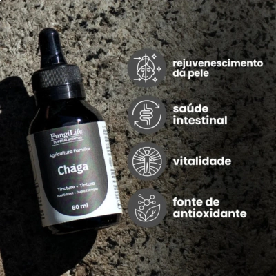 Extrato Líquido Cogumelo Funcionais, Tipos, 60ml, Microdose Life