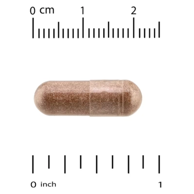 Kinoko Platinum AHCC, 60 Cápsulas, Quality of Life