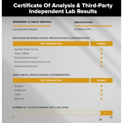 Lactobacillus Reuteri Probiótico, 30 bilhões de UFC, 240 Comprimidos, Natural Foundation Supplements