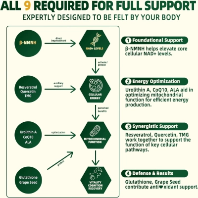 Liposomal, NMNH, 2000mg, 120 Cápsulas, AAHARO 