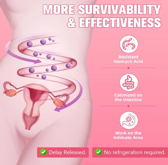 Suplementos para Menopausa 40 em 1, Com probióticos, DIM, Vitex, Dong Quai, Trevo vermelho e Vitaminas, 120 Cápsulas, To