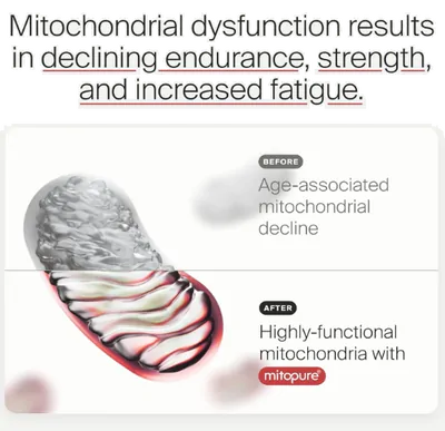 Mitopure Urolitin A, Envelhecimento Saudável e Renovação Celular, 60 Cápsulas, Time line
