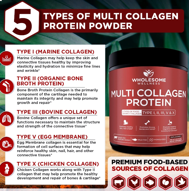 Multicolágeno Hidrolisado Tipo I II III V X, com Peptídeos, 454g Sem Sabor, Wholesome Wellness 