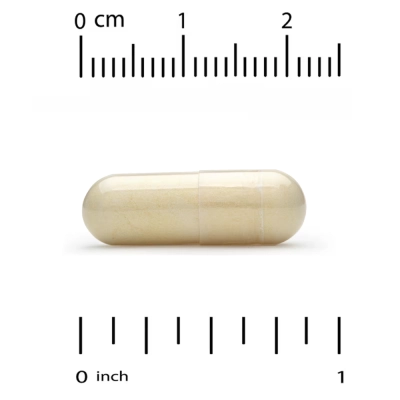 Royal Jelly (Geléia Real), 500mg, 30 Cápsulas, California Gold Nutrition