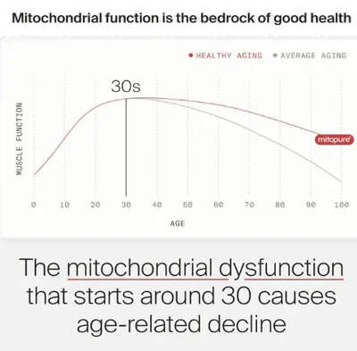 Mitopure Urolitin A, Envelhecimento Saudável e Renovação Celular, 60 Cápsulas, Time line