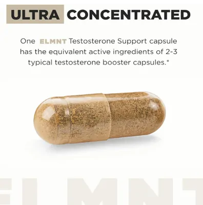 Testosterone form Men, Reforço de Testosterona, Ashwagandha, Tongkat Ali, Pycnogenol, Tribulus, 90 Cápsulas, Terra Elmnt