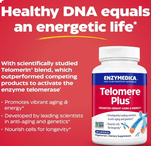 Telomere Plus, Suporte Enzimático, 30 Cápsulas, Enzymedica