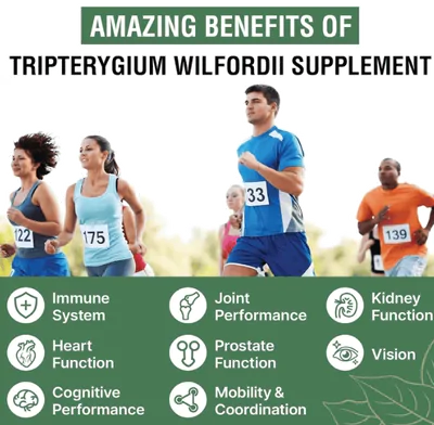 Óleo de Cânhamo orgânico de alta potência, Hemp Oil 25.000, Vegano e natural, 30ml, RiRywony Health