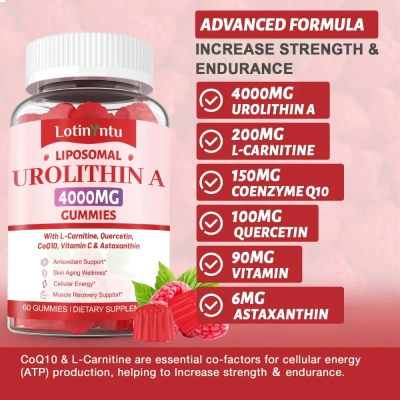Urolitina A 4000mg, com CoQ10 e Antioxidantes, 60 Gomas, Lotinyntu