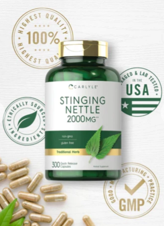 Stinging Nettle Leaf Extract, Folha de Urtiga 2000mg, 300 Cápsulas, Carlyle