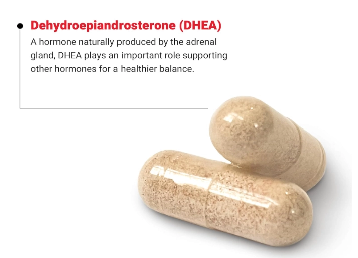 Dhea 25mg, 100 cápsulas, Force Factor