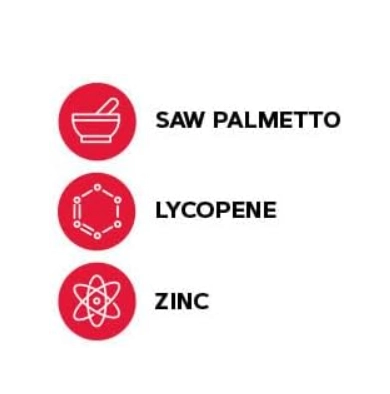 Saw Palmetto Formula, Auxilia na Função Normal da Próstata, 120 Tablets, GNC