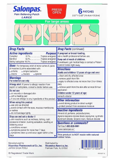 Adesivo para alívio da dor, Grande, 6 adesivos, Salonpas