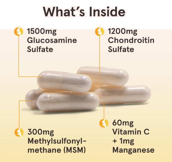 Glucosamina e Condroitina com MSM, 240 Cápsulas, Jarrow Formulas