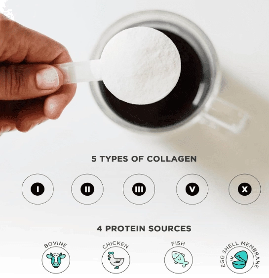 Peptídeos de Colágeno em Pó,  Tipo I, II, III, V, X, 235g Sem Sabor, Vital Vitamins