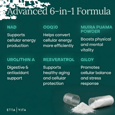 NAD+ Lipossomal, 500mg, Energia Celular e Vitalidade, 60 Cápsulas, ETTA VITA