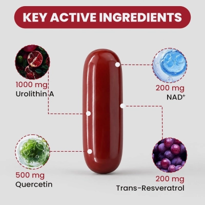 Urolitina A Complex, 1000mg, 120 Cápsulas, Colivigor